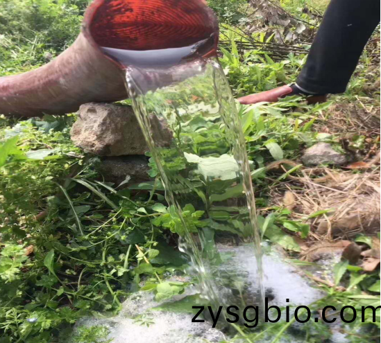 3308白綠吸汚淨化車(che)藍牌